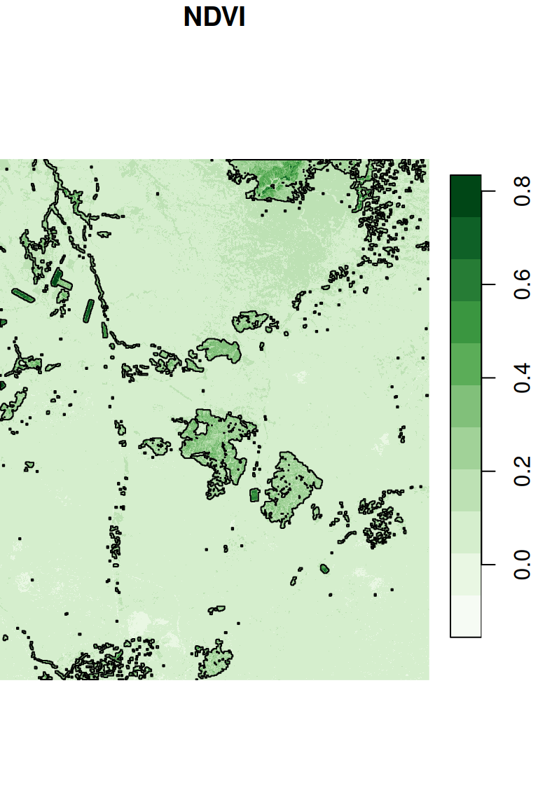 Segments with NDVI>0.2